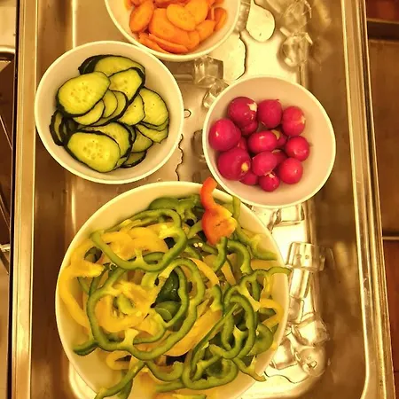 Bed and breakfast Azur Liubliana